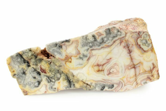 Polished Crazy Lace Agate Section - Australia #239807